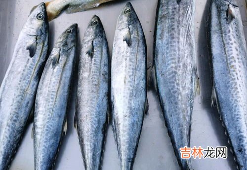 油炸鲅鱼的制作方法,炸鲅鱼段的做法,炸鲅鱼段怎么做好吃,炸鲅鱼段