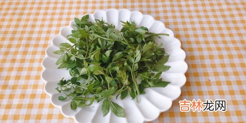芽菜和梅菜的区别有什么,芽菜是梅干菜吗？芽菜和梅干菜有什么区别？
