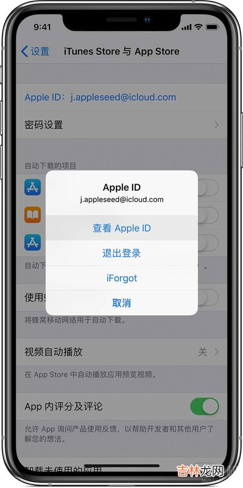 苹果id是什么怎么查看,苹果id怎么看