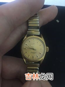 塑料壳的手表是哪个牌子,塑料卡西欧电子表，为什么拥有那么多的死忠粉？