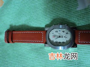 塑料壳的手表是哪个牌子,塑料卡西欧电子表，为什么拥有那么多的死忠粉？