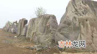 泰山石那里买,辽阳哪里能买到泰山石