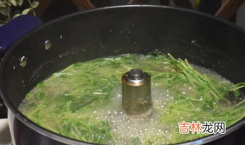 椰青和椰子的区别,椰青和椰子的区别在哪里