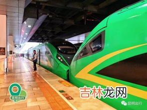 动车班次指的是什么意思,什么叫动车？与高铁区别是什么？