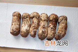 松茸的功效与禁忌,松茸炖鸡的功效与禁忌
