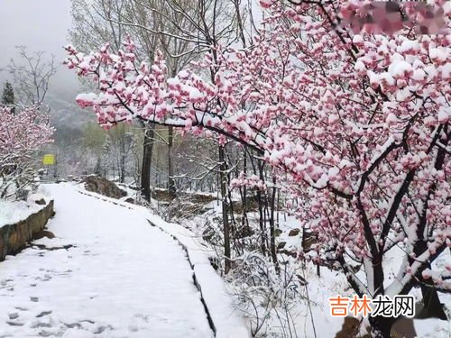 冬天打雷怎么回事,冬天打雷是什么预兆?