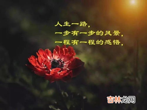 一种久违的感觉句子,一句久违的优美句子