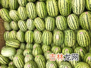 石头瓜产地是在哪里,石缝西瓜哪个地方产的