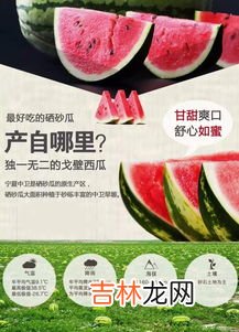 石头瓜产地是在哪里,石缝西瓜哪个地方产的
