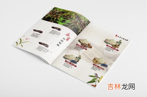 大汉本草片是什么药,本草纲目便秘药方有什么