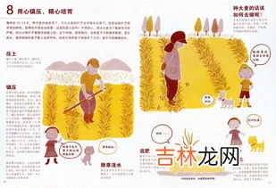 补白细胞的十种最佳食物,补白细胞的十种最佳食物