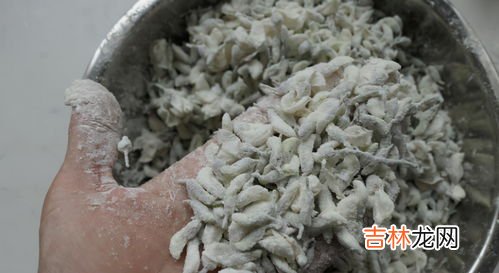 蒸槐花几分钟能够蒸熟,微波炉蒸槐花需要蒸多久时间