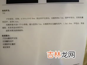 和某人贴贴是啥意思,女生跟男生说贴贴是什么意思