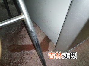 冰箱出水怎么回事,冰箱里总往外流水是怎么回事