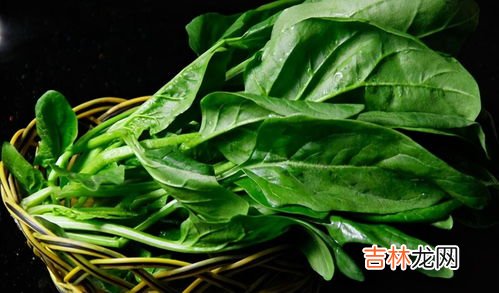 菠菜根需不需要剪掉,芥末菠菜应该怎样做？