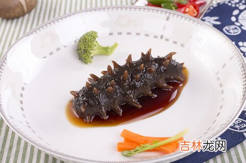 海参吃什么食物,海参吃什么 海参的食物有哪些