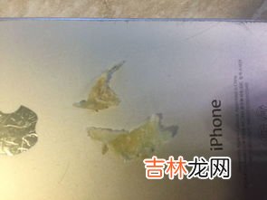 油纸和锡纸作用一样吗,烤箱用锡纸和油纸的区别 烤箱用锡纸和油纸的区别说明