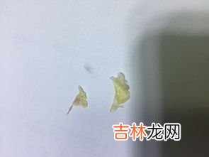 油纸和锡纸作用一样吗,烤箱用锡纸和油纸的区别 烤箱用锡纸和油纸的区别说明