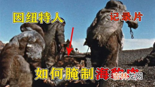 腌海雀什么味道,腌海雀什么味道?