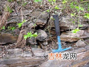 页岩是指什么岩,页岩是沉积岩还是什么岩