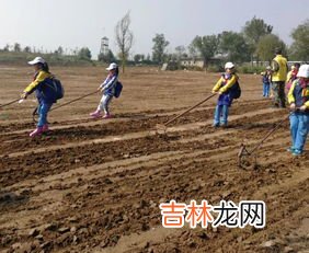 农事活动有哪些,农事活动有哪些?二年级