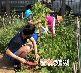 农事活动有哪些,农事活动有哪些?二年级