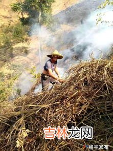 农事活动有哪些,农事活动有哪些?二年级