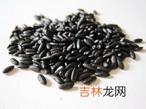 意米的营养和功效,薏米有啥好处