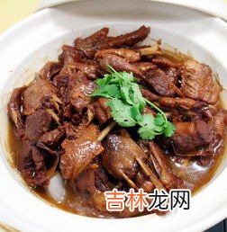 炖大鹅怎么去腥味窍门,炖大鹅怎么去腥味窍门