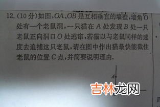 ob是什么意思,“OB”是什么意思?