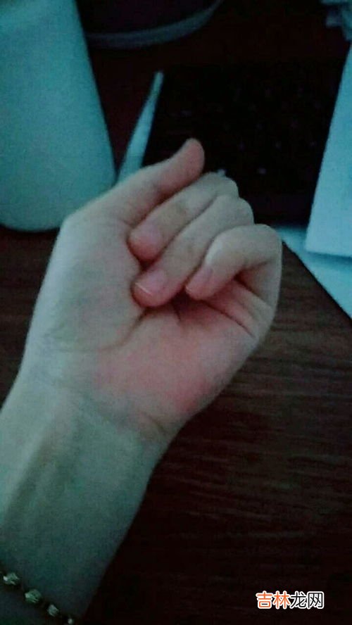 熊掌有几个指头,熊有多少个手指