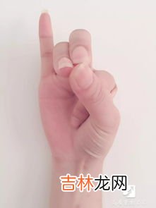 熊掌有几个指头,熊有多少个手指