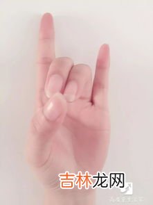 熊掌有几个指头,熊有多少个手指