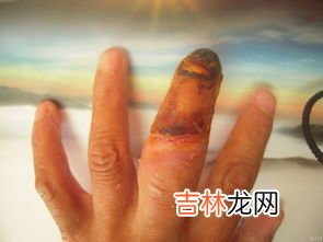 熊掌有几个指头,熊有多少个手指