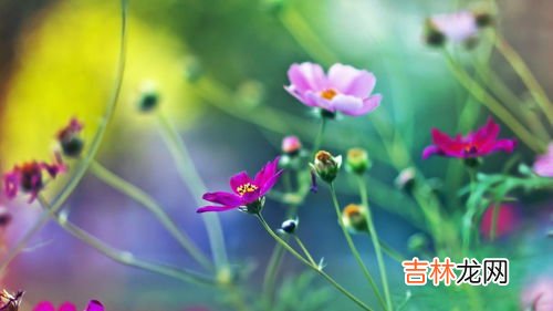 形容四季的句子,描写四季的好句子