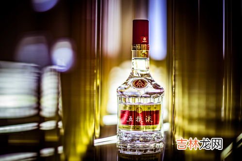 五粮液旗下5大品牌,五粮液系列酒有哪些