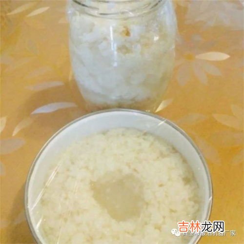 米酒是什么,米酒的原料是什么