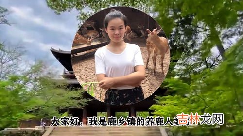 鹿角胶的功效与作用及食用方法,鹿角胶如何服用好?