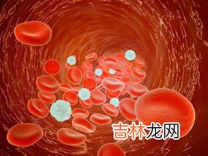 纳豆激酶和银杏叶精华哪个好,纳豆银杏叶胶囊
