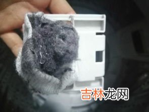衣服洗完有毛絮怎么办,衣服上的毛球怎么去除小窍门