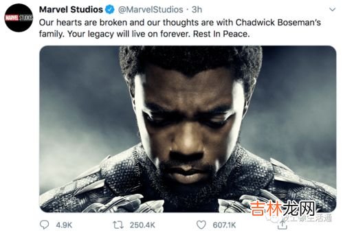 瓦坎达forever是啥梗,非洲复仇者是什么梗