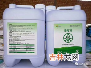 延时增大的药有用吗,伟哥有延时效果吗
