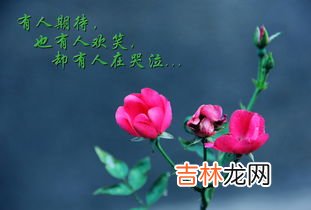 三朵花代表什么意思,三朵花的花语是什么