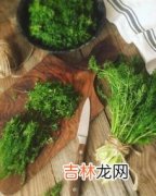 茴香的寓意是什么,年夜饭吃茴香苗饺子好吗?