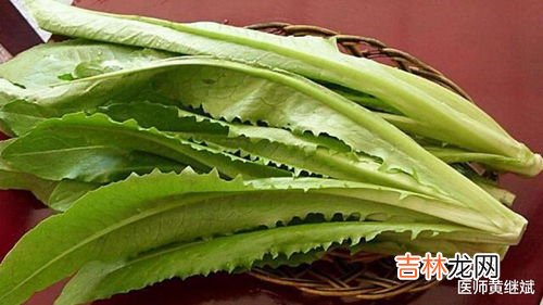 油麦菜的坏处与禁忌,为什么不能吃油麦菜？