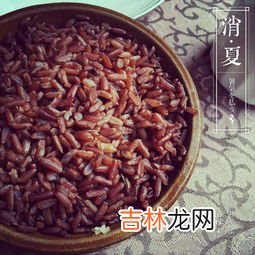 血糯米的做法,血糯米饭的做法,血糯米饭怎么做好吃,血糯米饭的家常