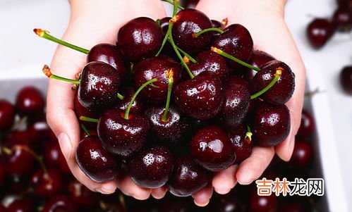 车厘子弄到白色衣服上怎么洗,车厘子汁染色在衣服上的清洗方法有什么