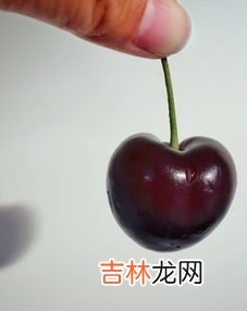 车厘子弄到白色衣服上怎么洗,车厘子汁染色在衣服上的清洗方法有什么