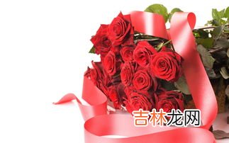 红玫瑰的花语是什么,红玫瑰花语是什么意思