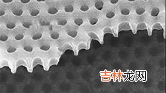 银属于活跃金属吗,金属化学元素的活跃性的顺序是什么